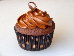 Chocolate Cupcake