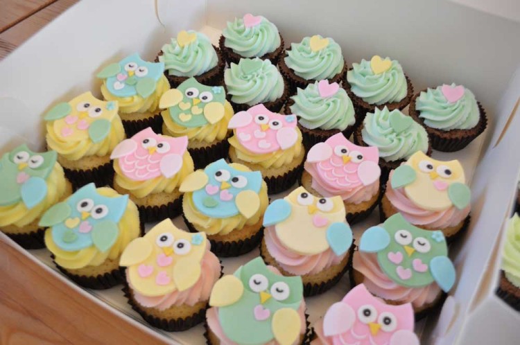 Colored Owl Cupcakes