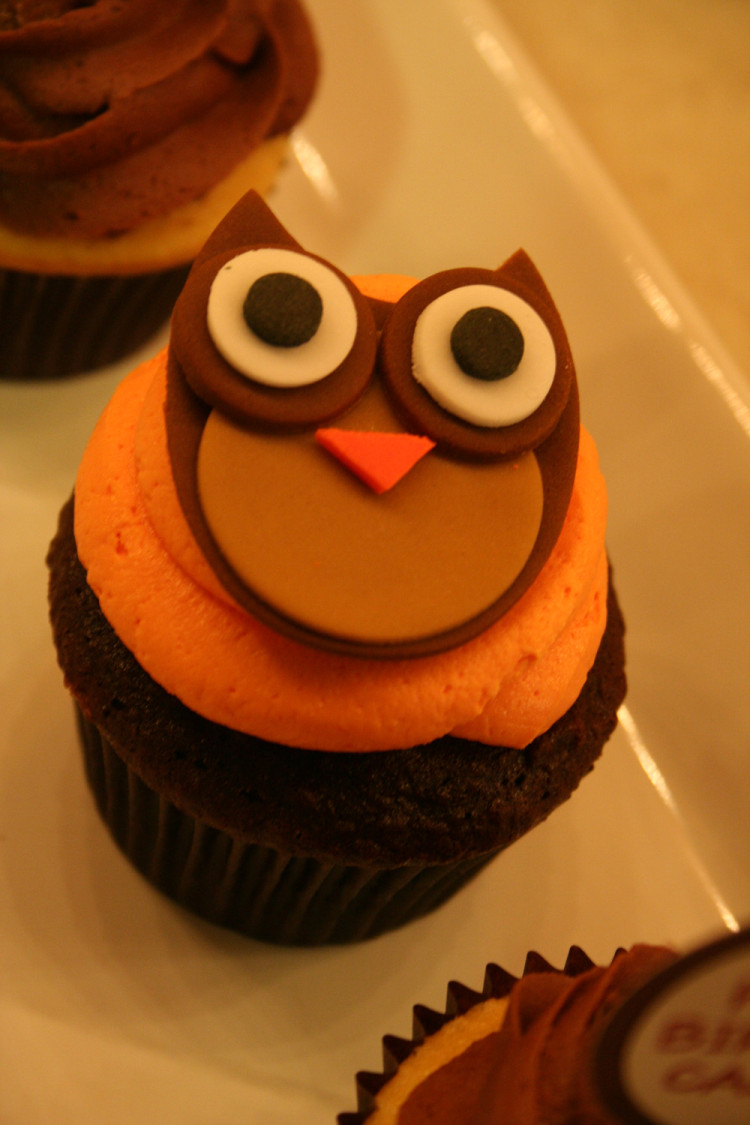 Cupcake with Owl