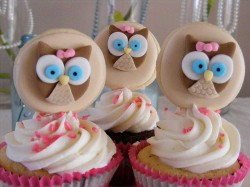 Cute Owl Cupcakes