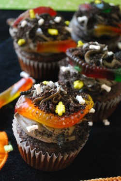 Dirt Cupcakes with Worms