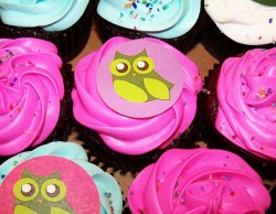 Pink Owl Cupcakes