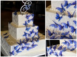 Quinceanera Cake With Butterflies