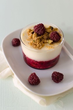 Raspberry Tiramisu