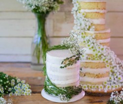 Winter Nude Wedding Cake