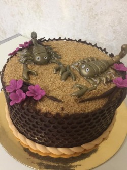 Birthday Cake for Scorpions