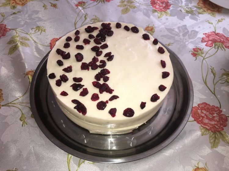 Cheese Cake with Dried Cranberries (2017 April)