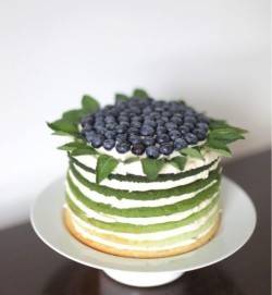 Nude Blueberries Cake