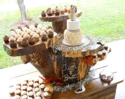 Rustic Wedding Sweet Table